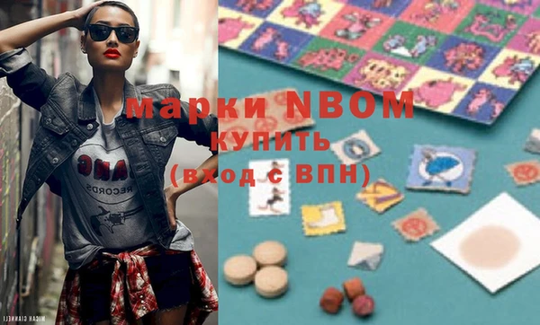 индика Коряжма
