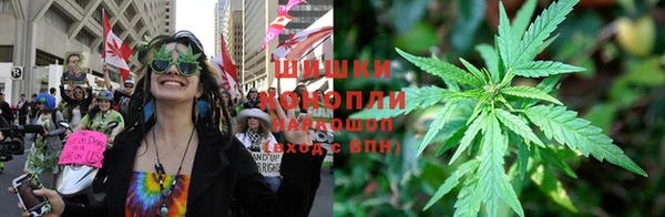 стаф Валдай